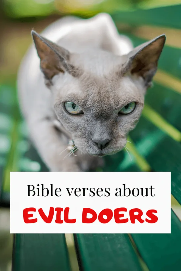 Bible verses about evil doers