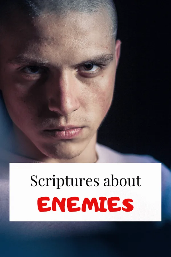 scriptures about enemies