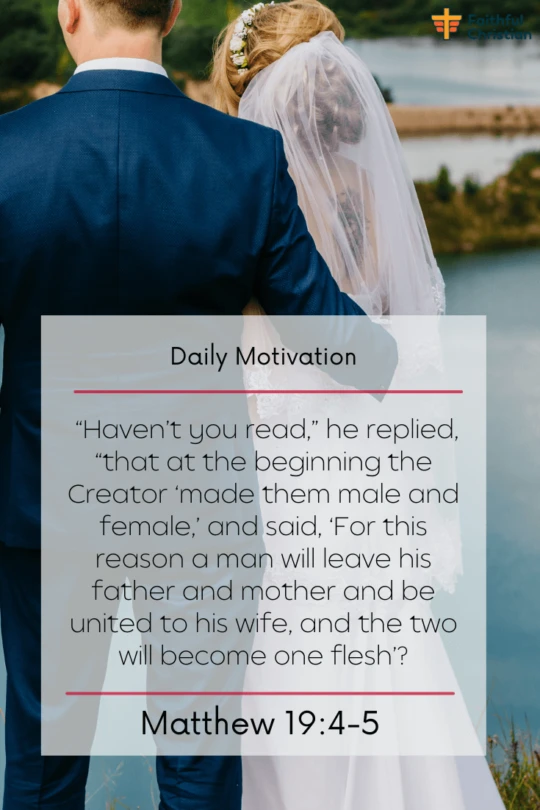 Bible verses about Husbands roles and duties in the Scriptures