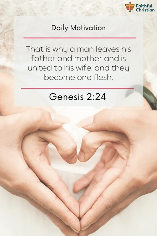 21 Bible verses about Husbands roles and duties in the Scriptures