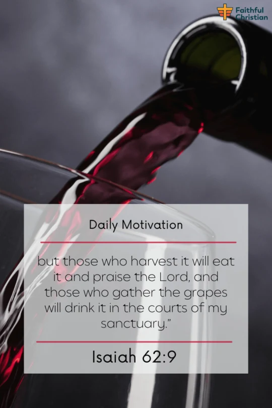 Bible verses about drinking Wine or Alcohol (Powerful Scriptures)