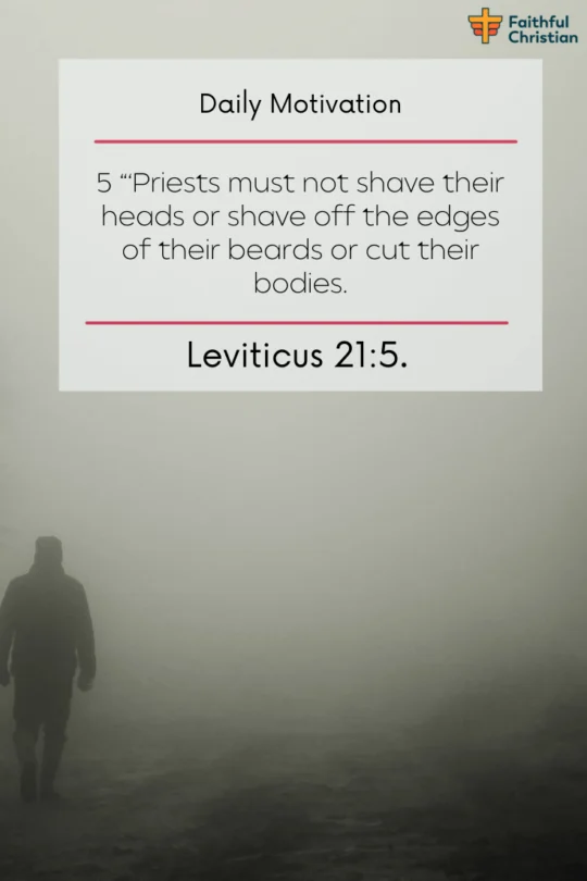 Bible Verses about Man Wearing Braids [NIV SCRIPTURES] (16)